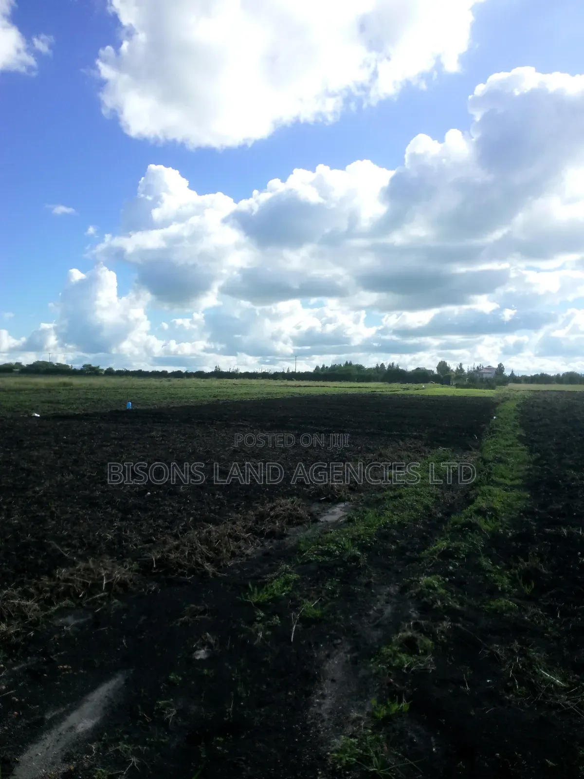 Available 1/4 Acre Plot for Sale