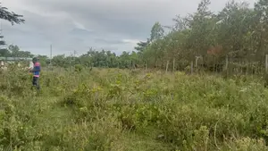 Prime Plot Along Homa-Bay Mbita Road