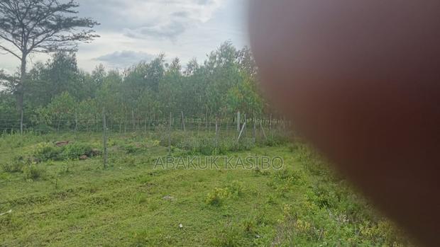 Prime Plot Along Homa-Bay Mbita Road - thumbnail 3
