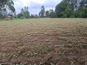1 Acre Nambuchi Toward Nakhwana