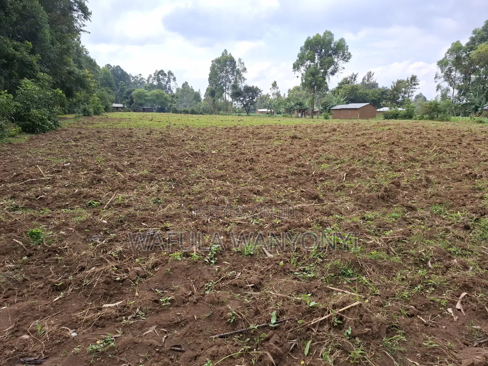 1 Acre Nambuchi Toward Nakhwana