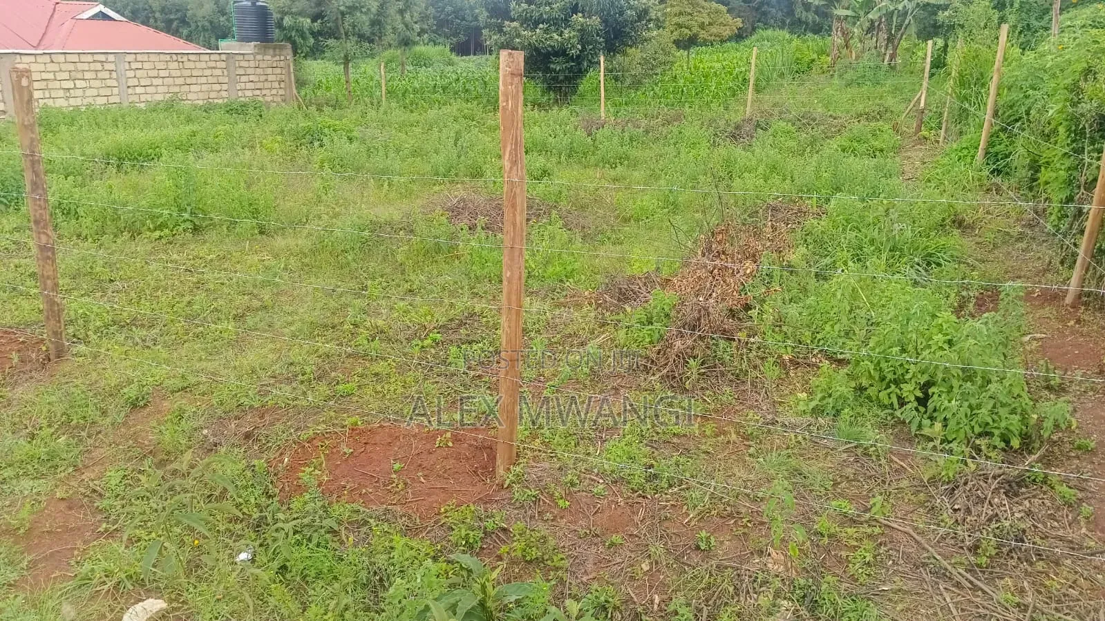 50x100 Plot for Sale in Kamangu