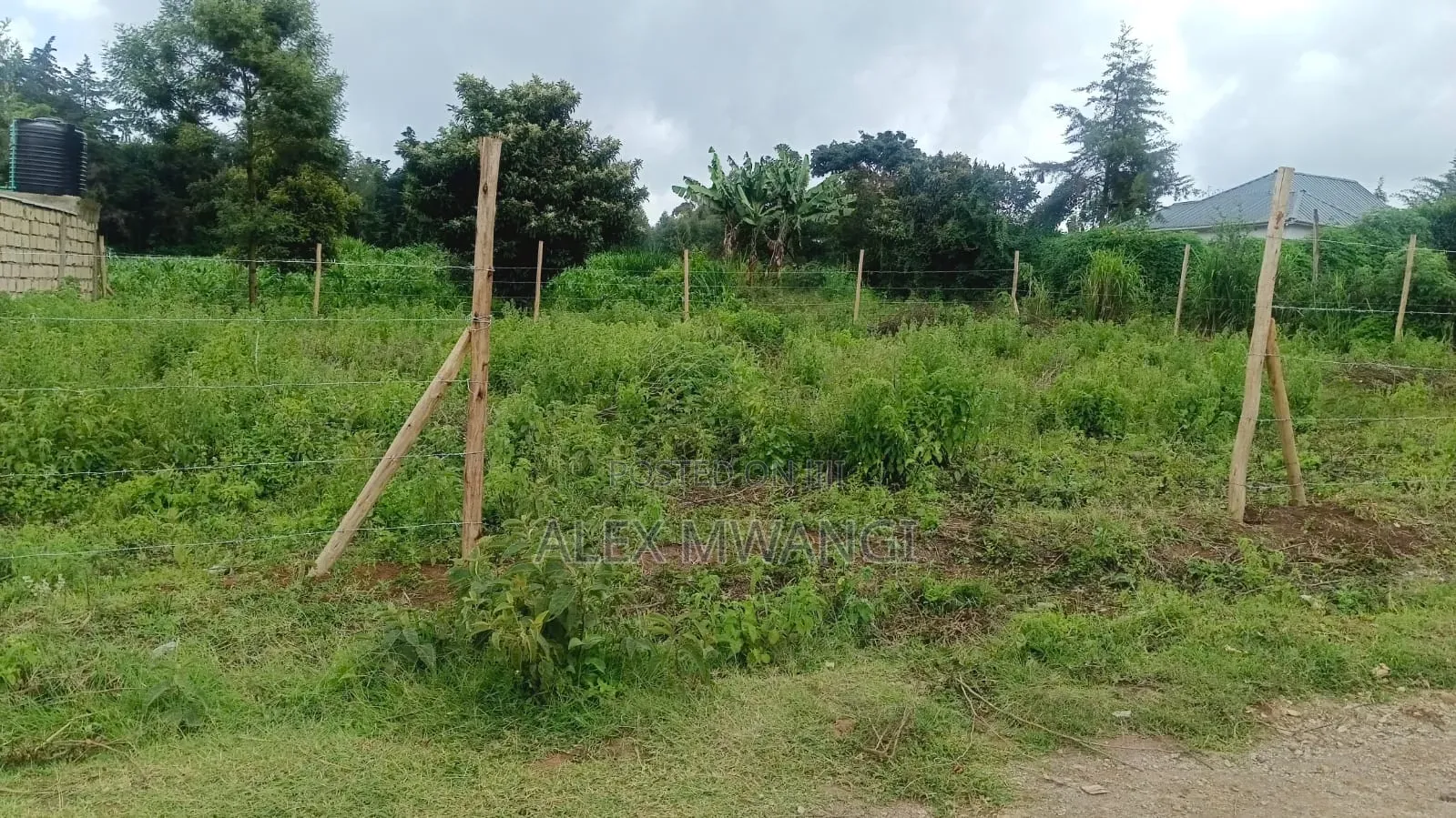 50x100 Plot for Sale in Kamangu