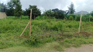 50x100 Plot for Sale in Kamangu
