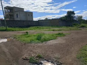 A 40 by 80 Plot in Thika