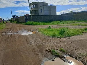 A 40 by 80 Plot in Thika