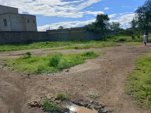 A 40 by 80 Plot in Thika