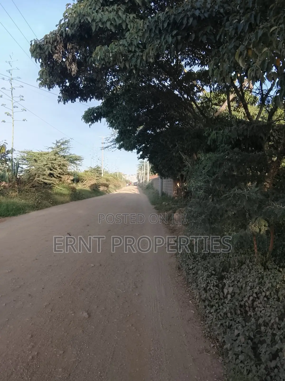 3 Acres in Milimani Kitengela Ideal for a High End Gated Estate