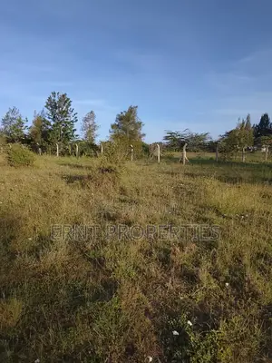 3 Acres in Milimani Kitengela Ideal for a High End Gated Estate