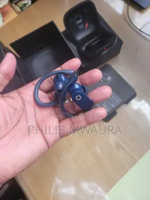 Original Beats Powerbeats Pro Wireless Earbuds - Blue - With Case