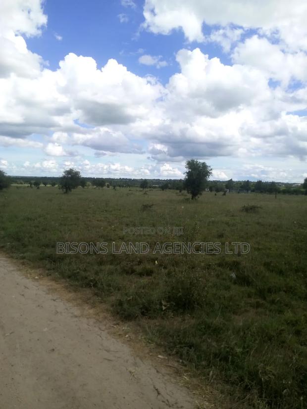Available 1/4 Plot for Sale - thumbnail 2