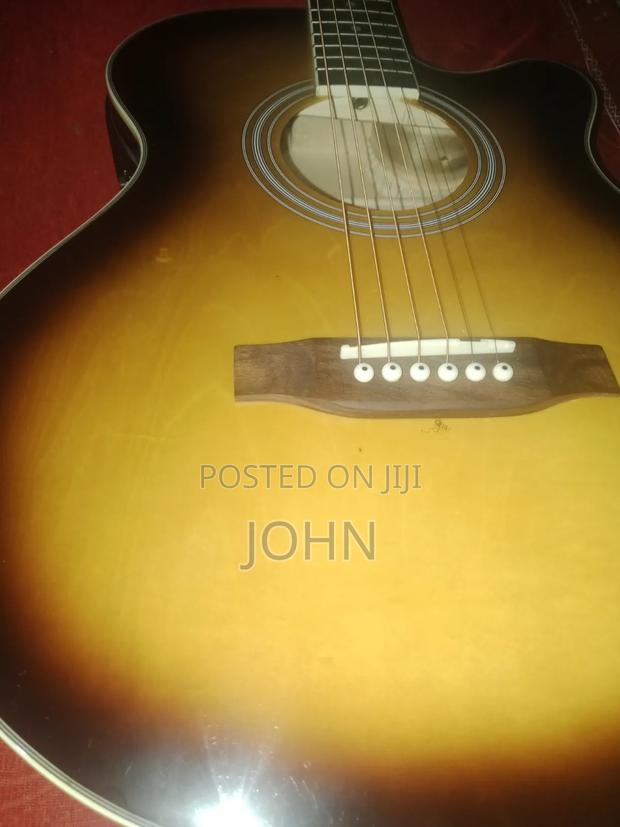 Semi Acoustic Guitar