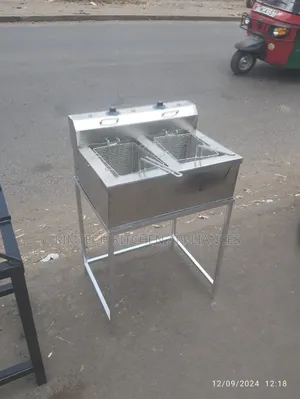 Stainles Electric Fryer