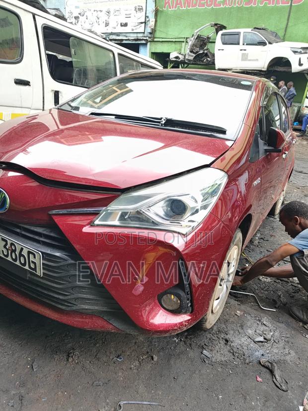 Foglight Cover Toyota Vitz Available - thumbnail 2