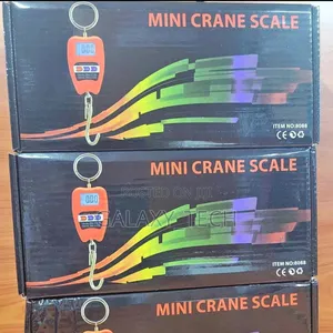 200kg Mini Crane/Weighing Scales