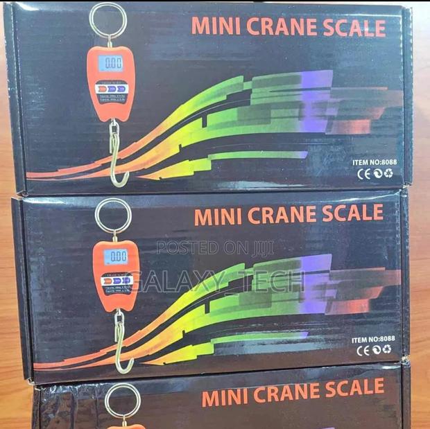 200kg Mini Crane/Weighing Scales
