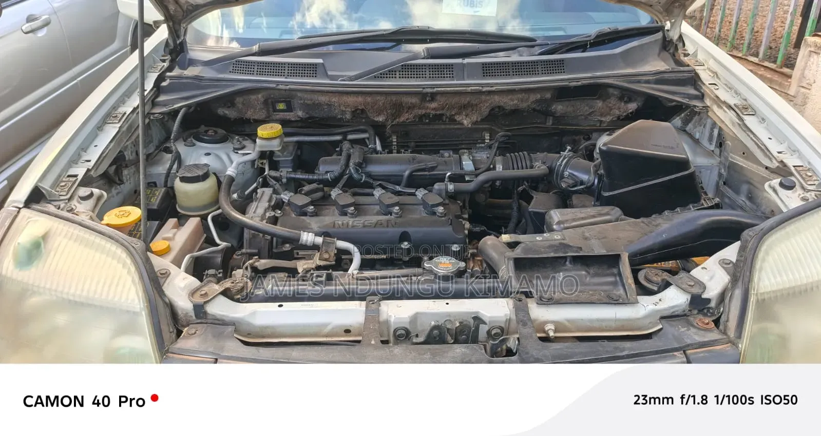 Nissan X-Trail 2005 White