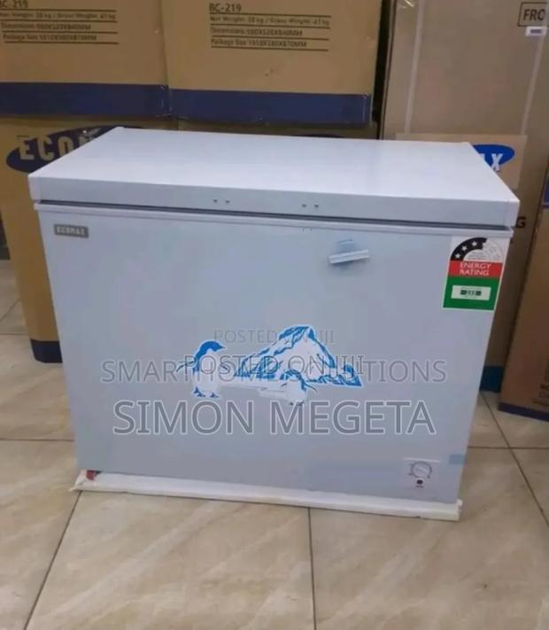 Energy Saving Ecomax 219l Freezer. Freezer - main view