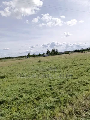 Jujafarm Near Shopping Center 40*80