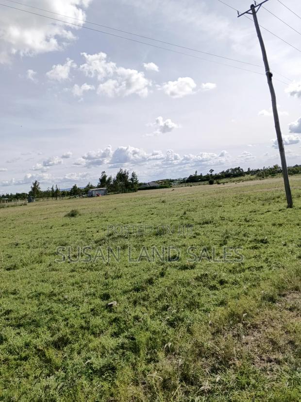 Jujafarm Near Shopping Center 40*80 - thumbnail 2