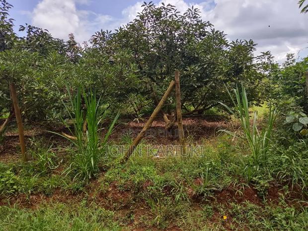 50 Acres Mature Ovacados Trees in Mananja 8km of Kenol/Sagana Highway - thumbnail 5