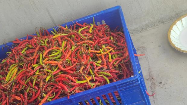 Bird Aye Dried Chilli - thumbnail 2