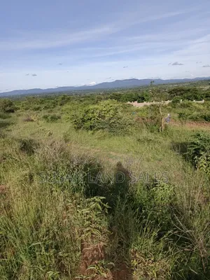 Oletepesi 99 Acres. 5kms Off Tarmac. 1.5m Per Acre