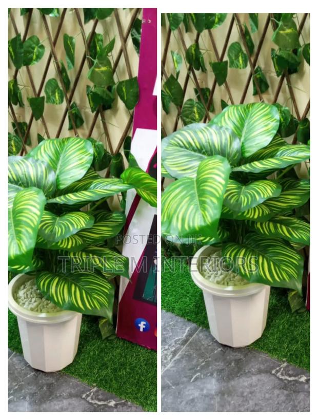 Artificial Home Decor Plants