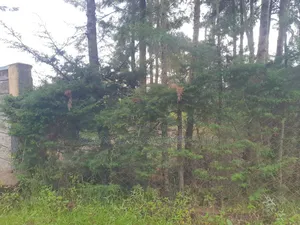 Available 2 Acre Land for Sale in Migori County