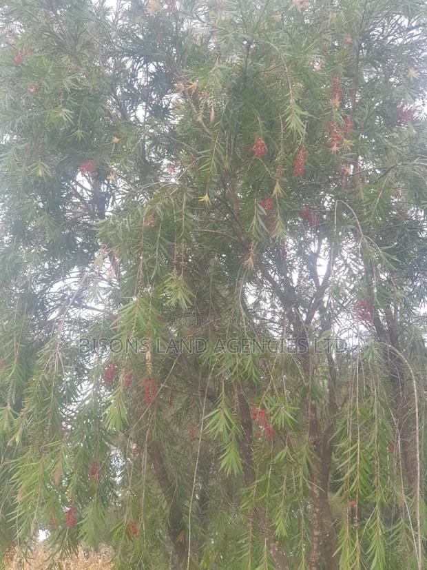 Available 2 Acre Land for Sale in Migori County - thumbnail 2