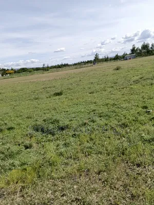 Daystar Area 3td Row Our 8 Plots 100*100