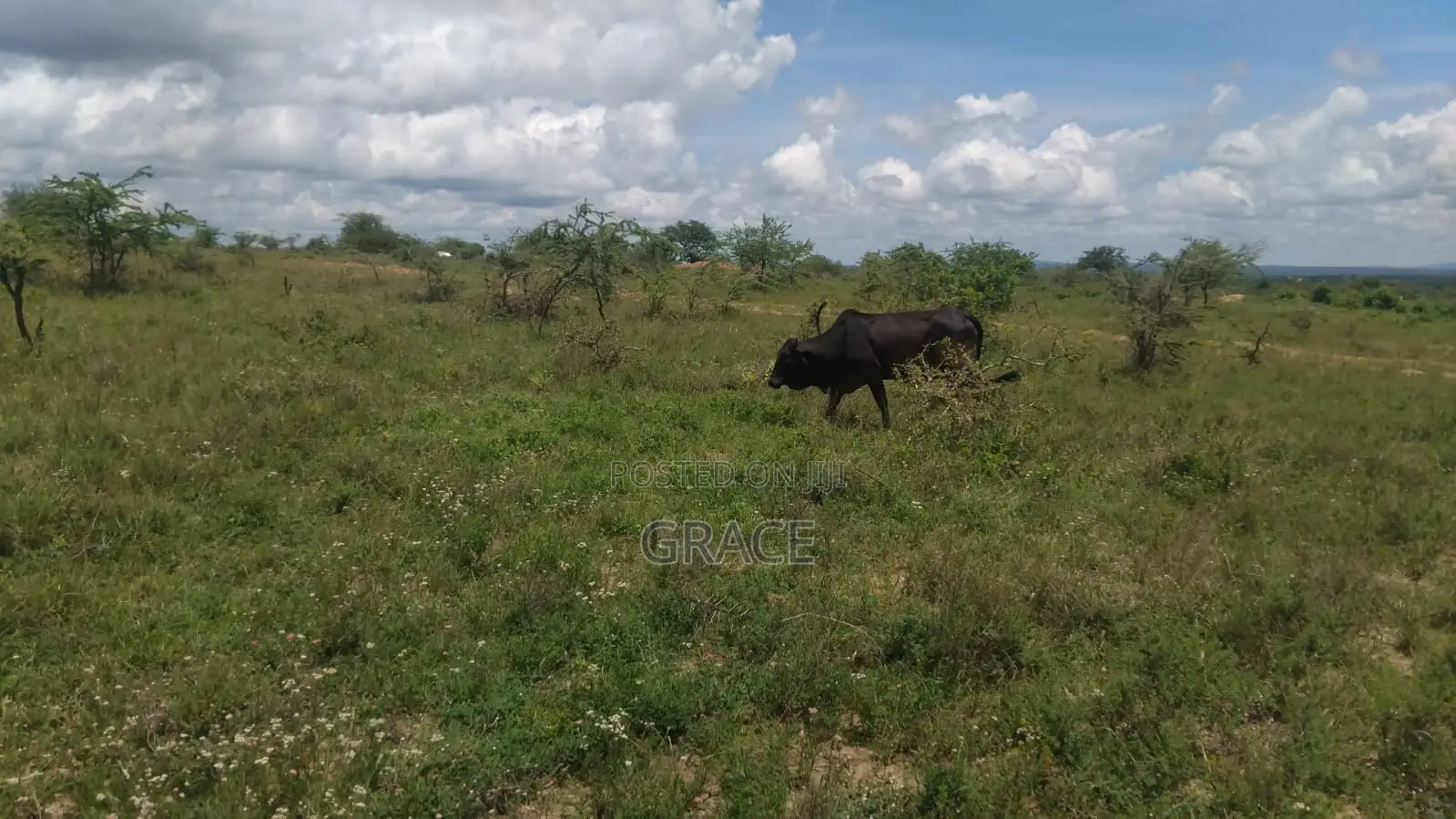 Konza Prime Plots Now Selling