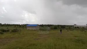 Isinya Highway Competitive Prime Plots