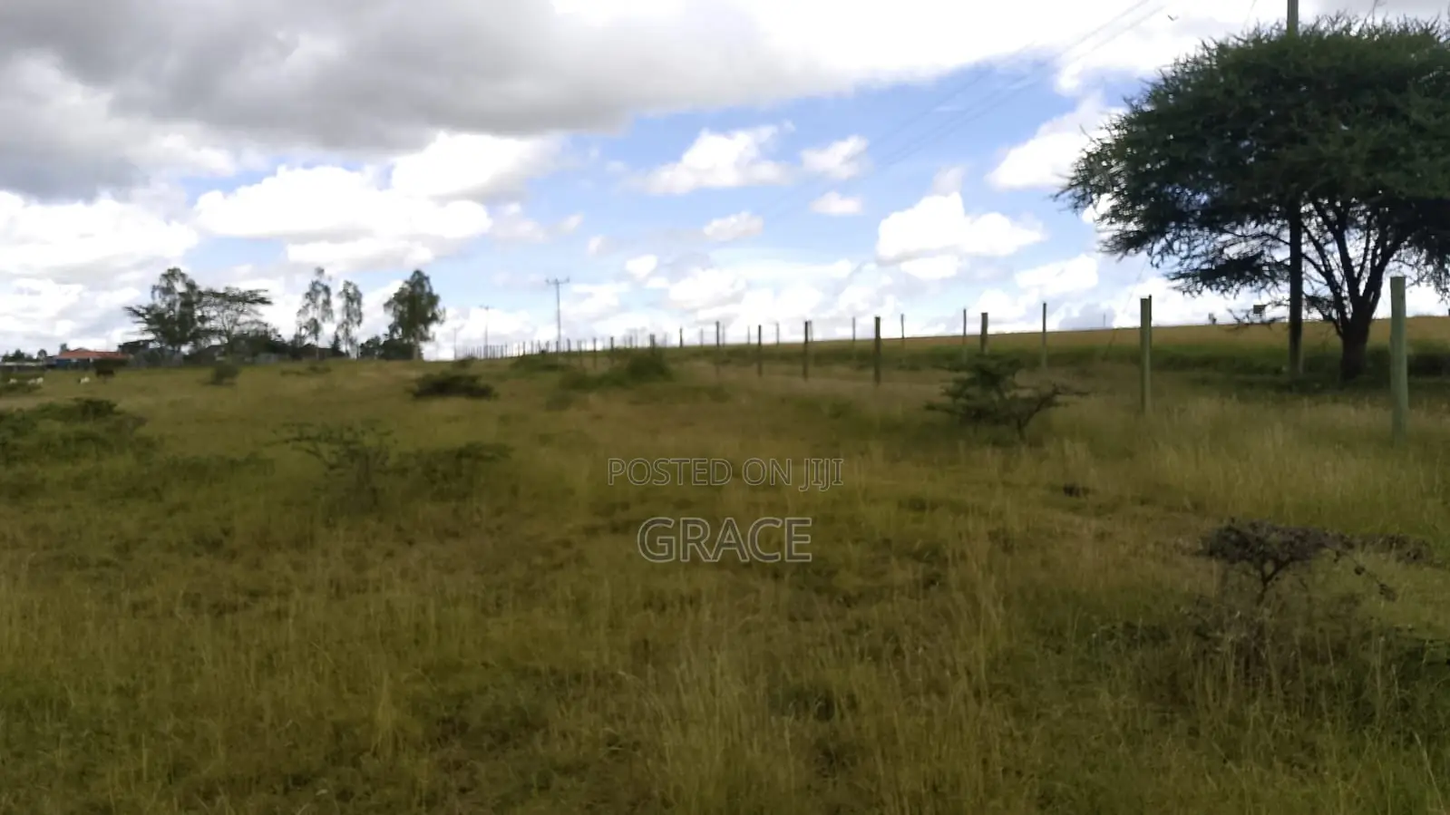 Isinya Highway Competitive Prime Plots