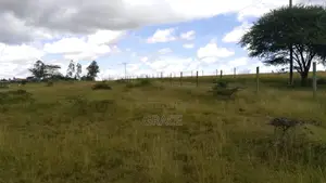 Isinya Highway Competitive Prime Plots