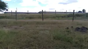 Isinya Highway Competitive Prime Plots