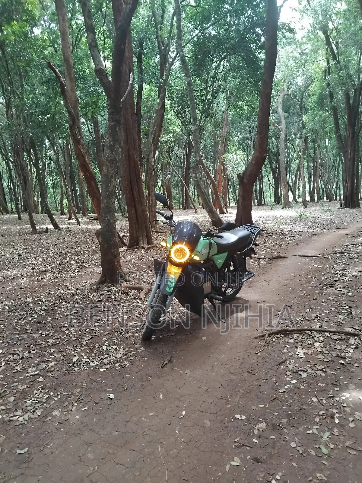 Motorcycle 2023 Orange