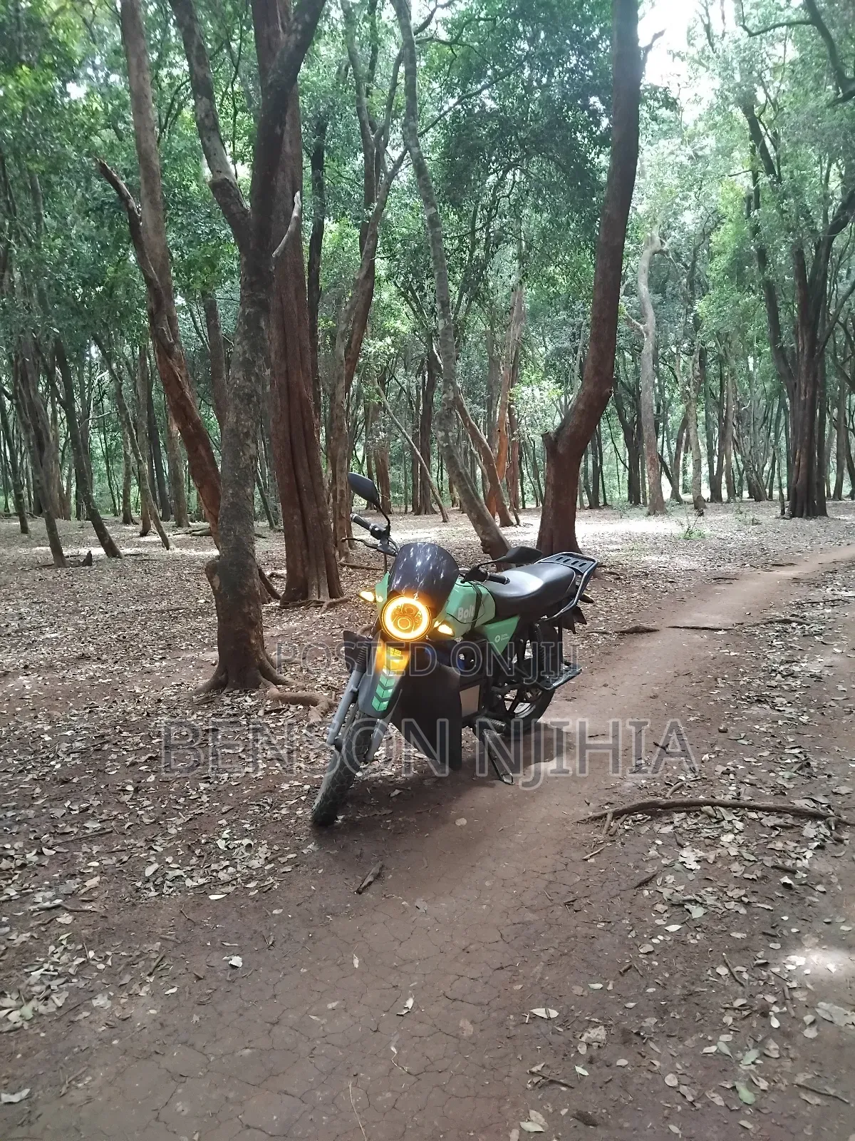 Motorcycle 2023 Orange