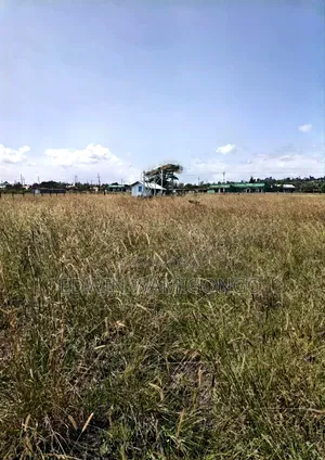 1 Acre Prime Land for Sale