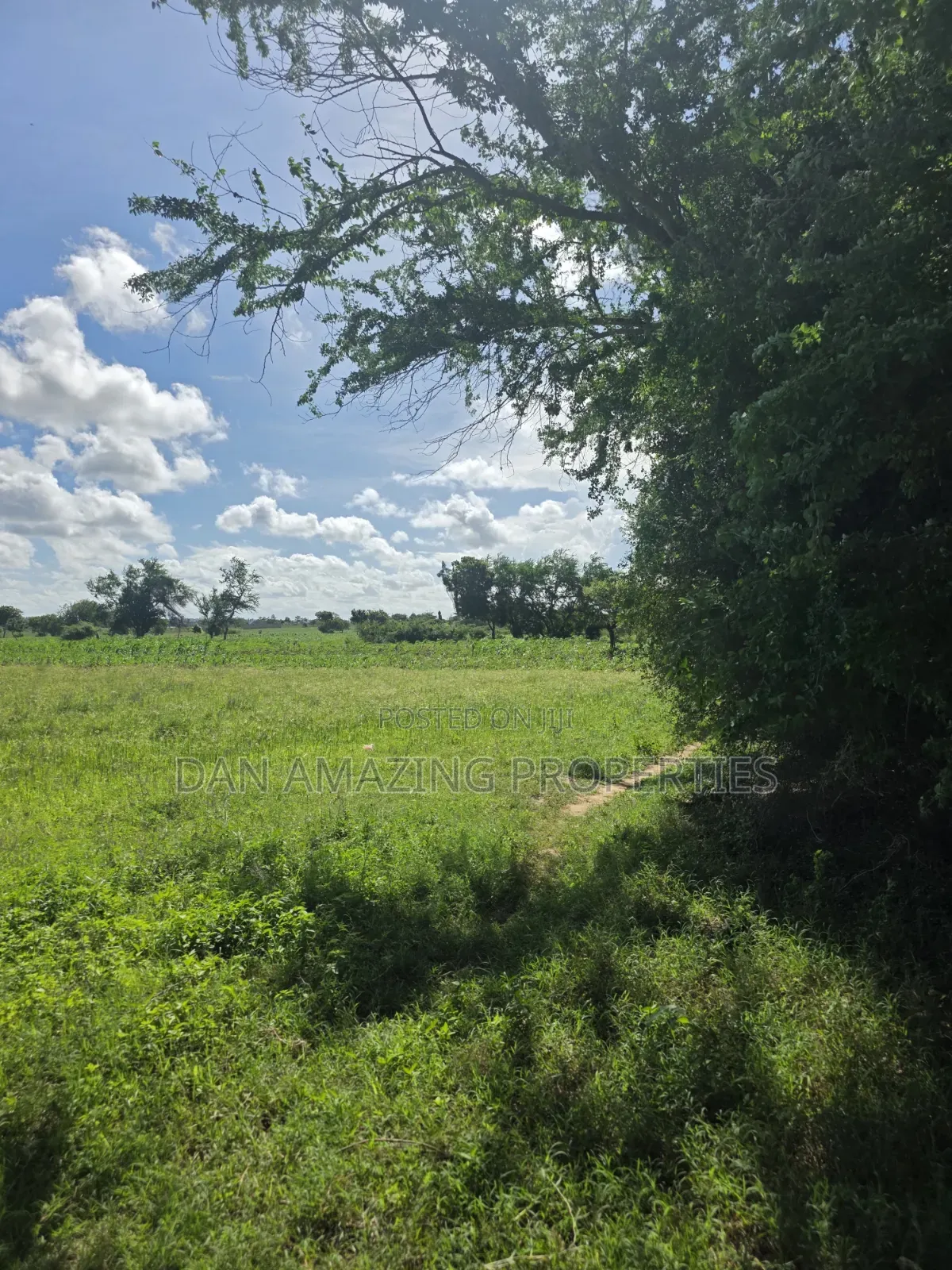 5 Acres in Kilifi Mandharini Rd for Sale as a Block