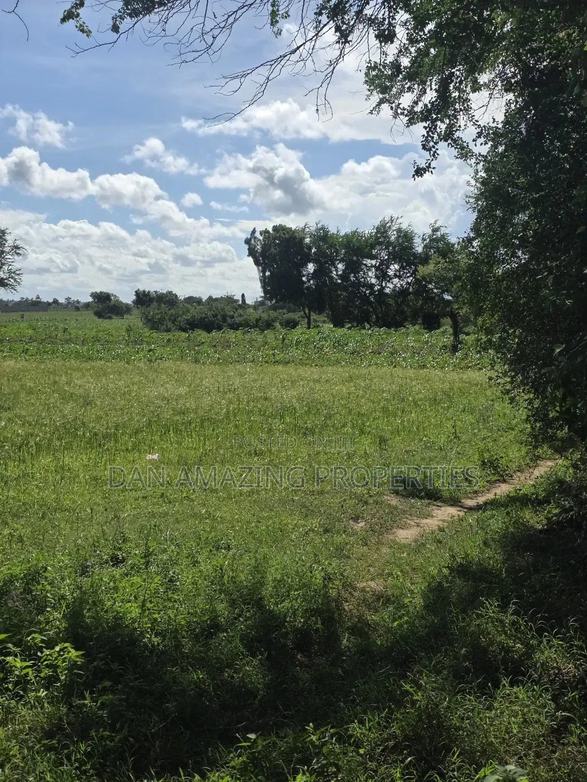 5 Acres in Kilifi Mandharini Rd for Sale as a Block
