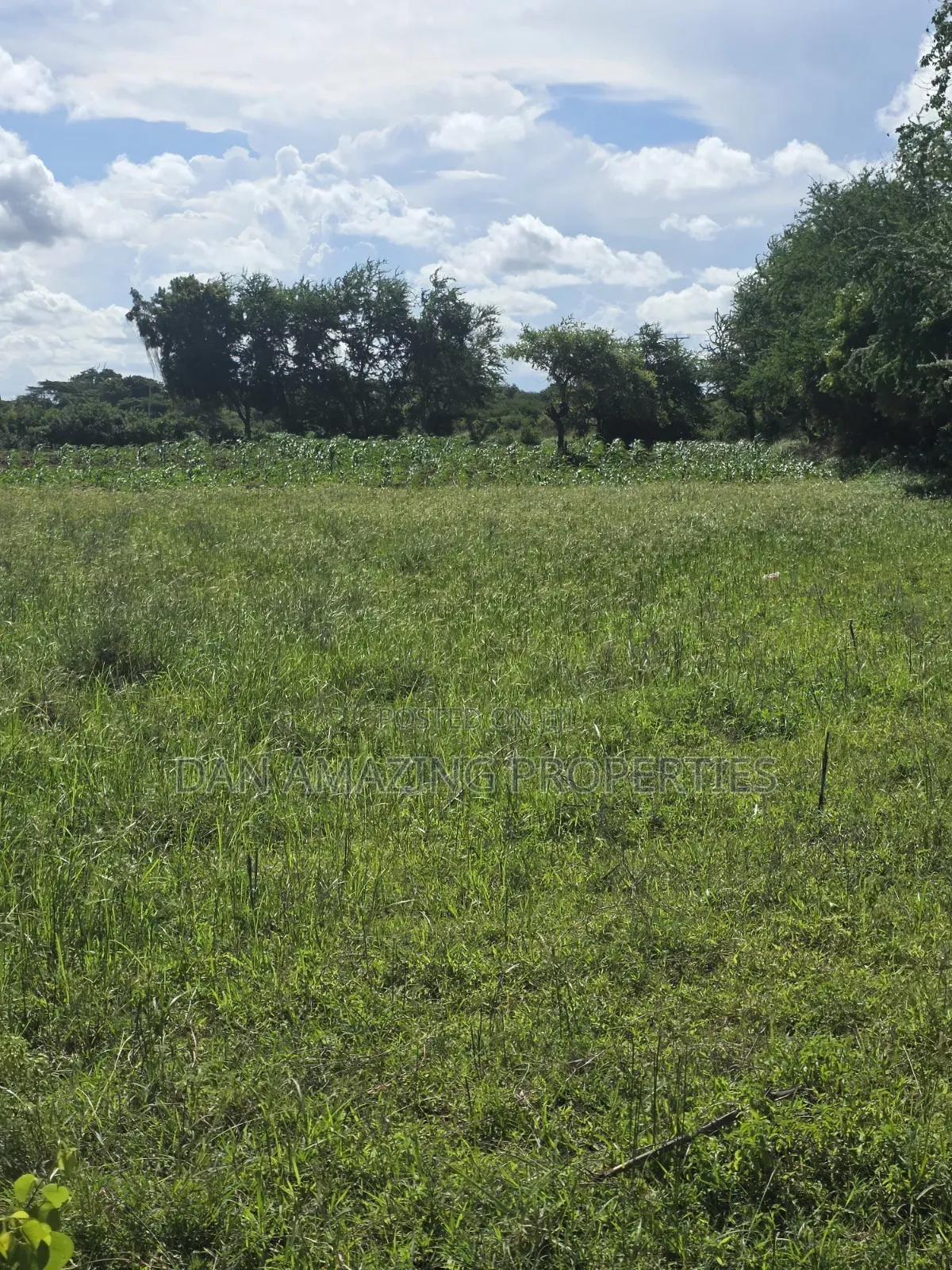 5 Acres in Kilifi Mandharini Rd for Sale as a Block