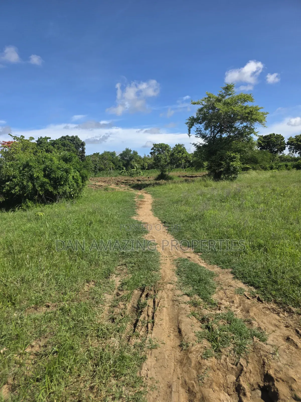 5 Acres in Kilifi Mandharini Rd for Sale as a Block
