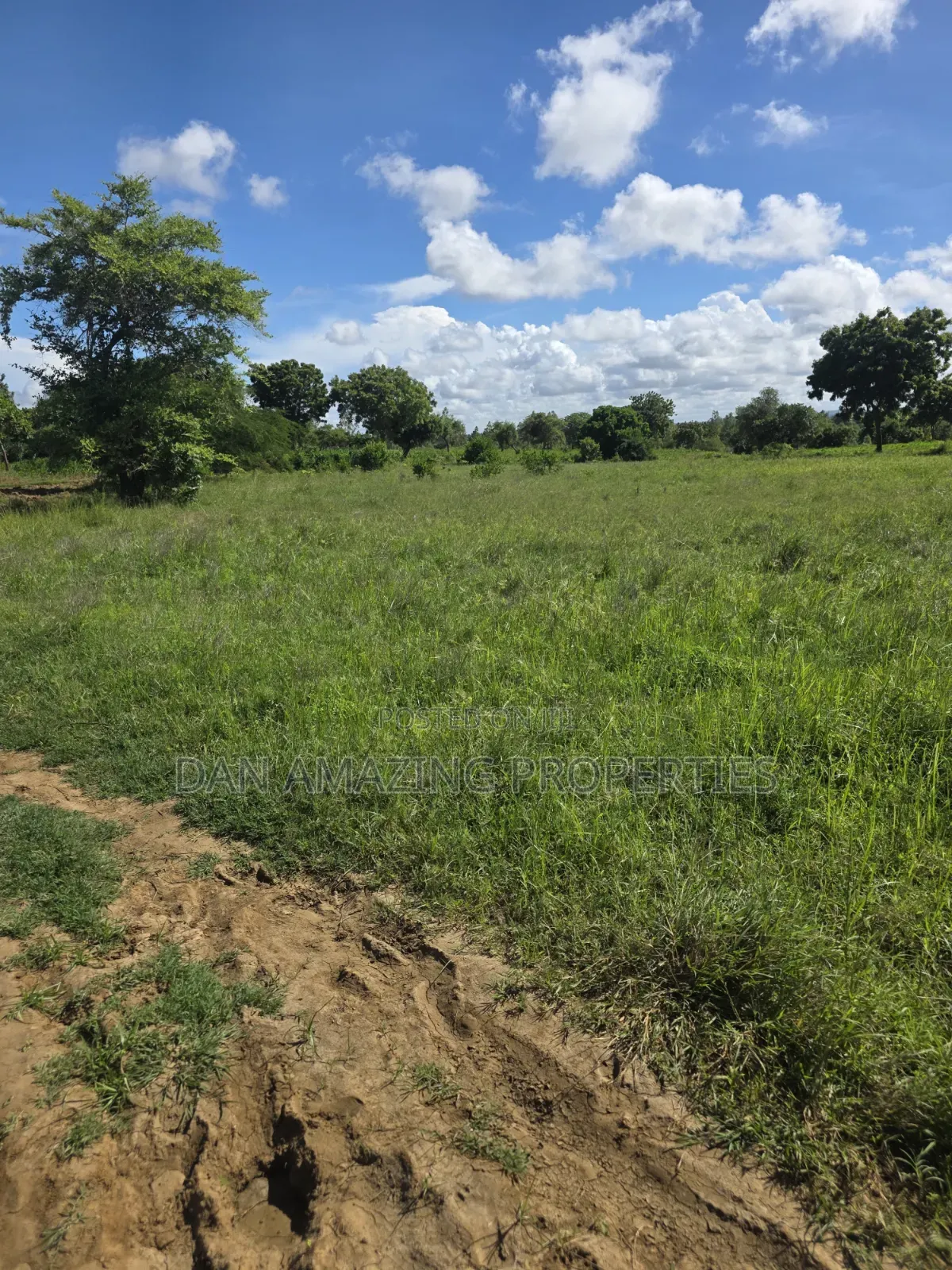 5 Acres in Kilifi Mandharini Rd for Sale as a Block