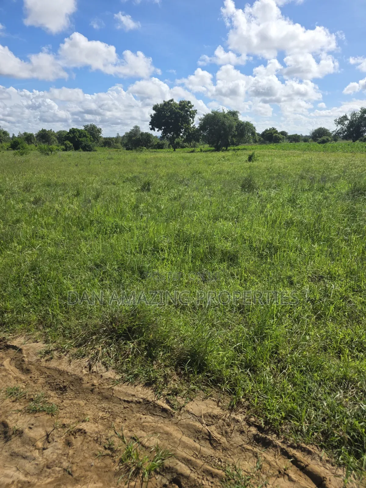 5 Acres in Kilifi Mandharini Rd for Sale as a Block