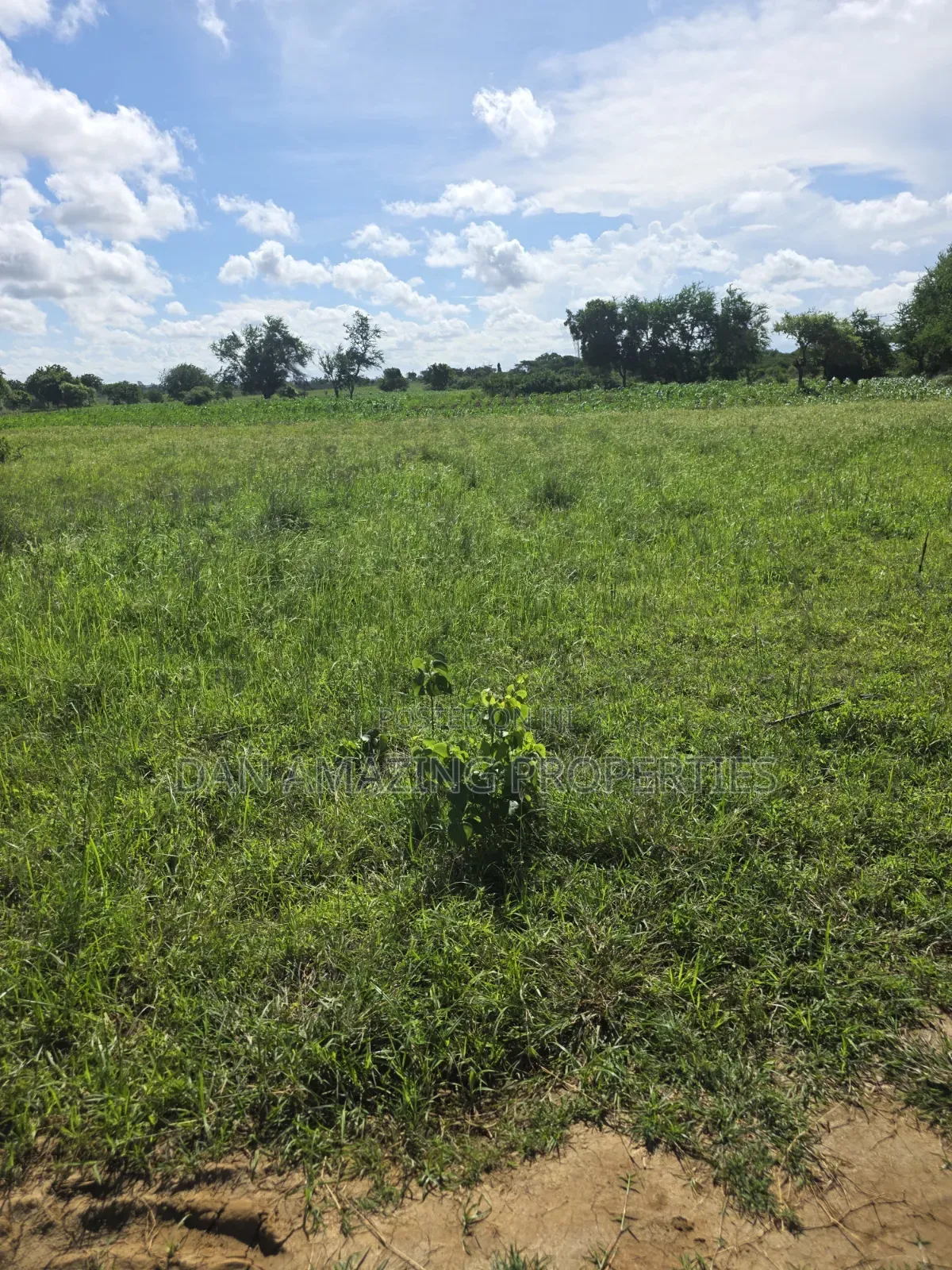 5 Acres in Kilifi Mandharini Rd for Sale as a Block