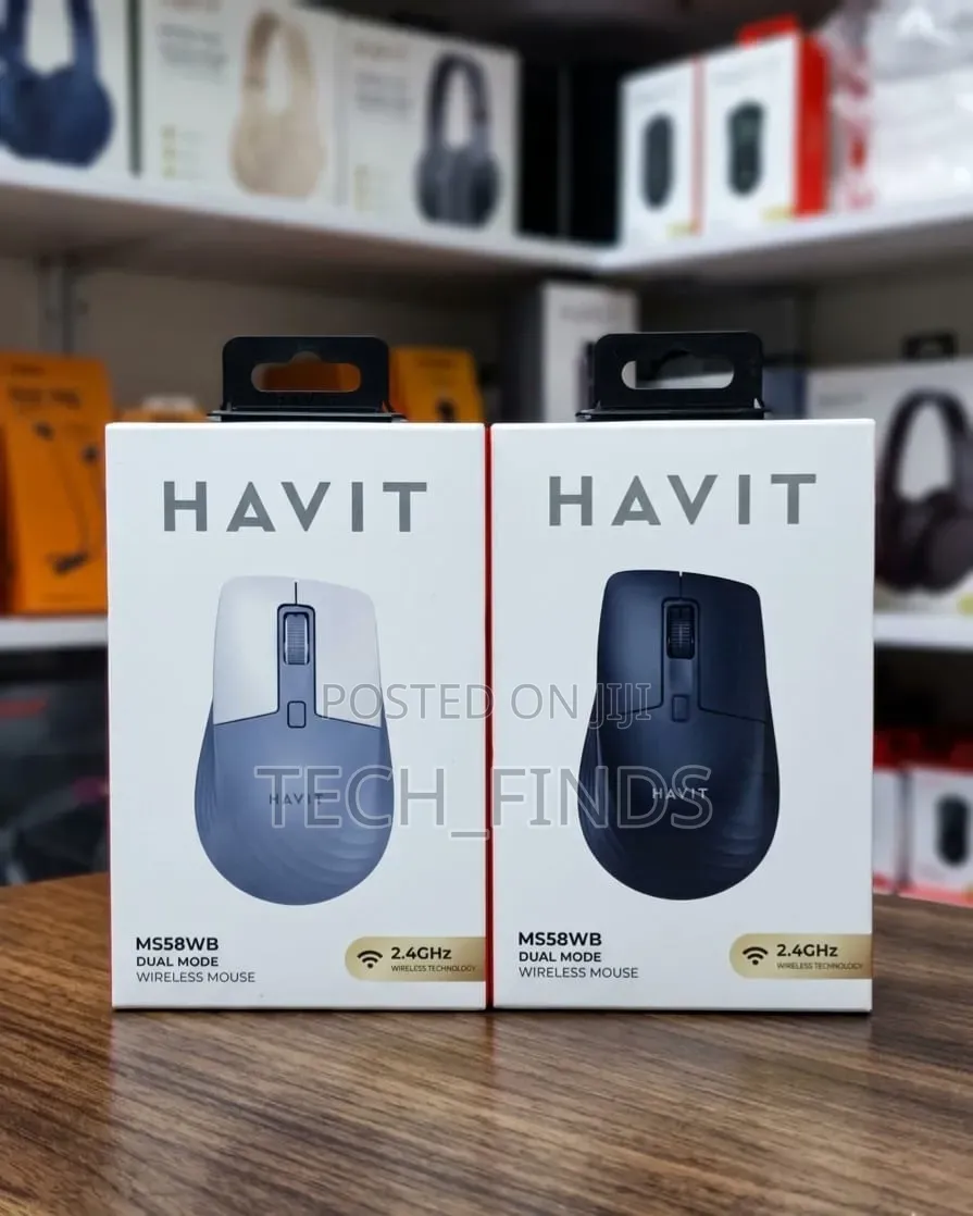 Havit Ms58wb Dual-Mode Wireless Mouse