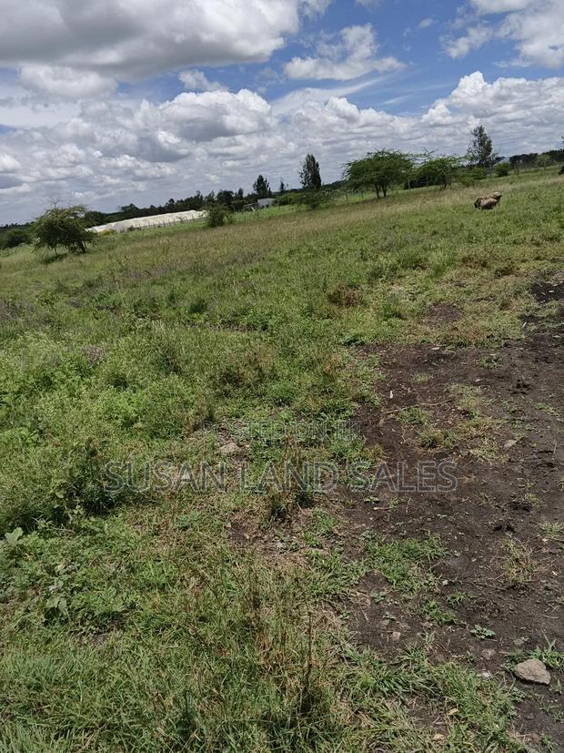 Mutalia Kangundo Road 6 Plots