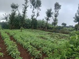 50x100 on Sale Gatanga\Kigio Road 8kms From Thika Blue Post
