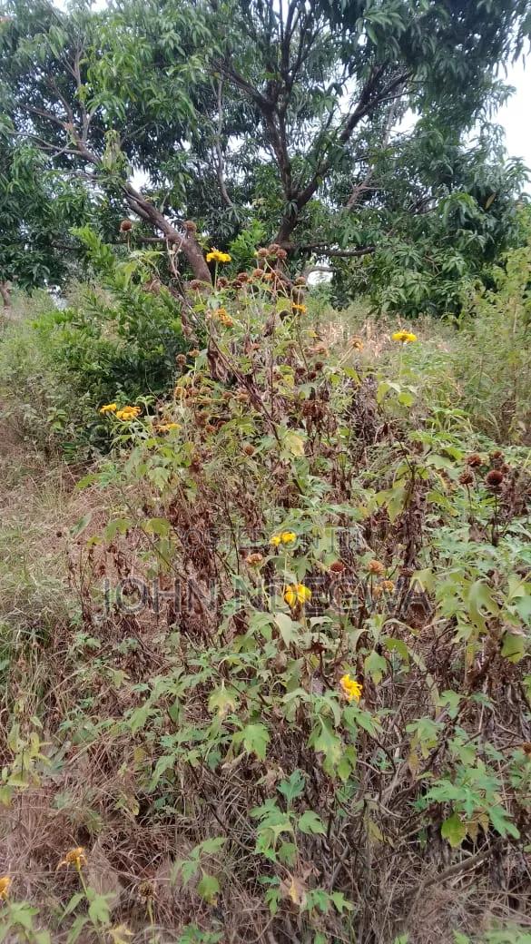 Kambiti Prime Land